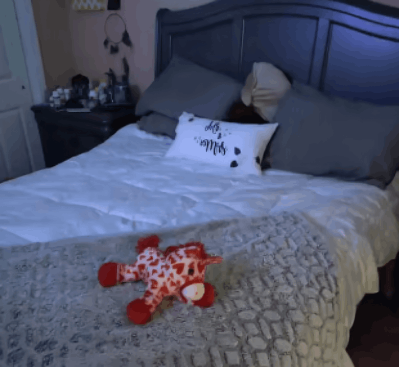 miracle sheets reviews